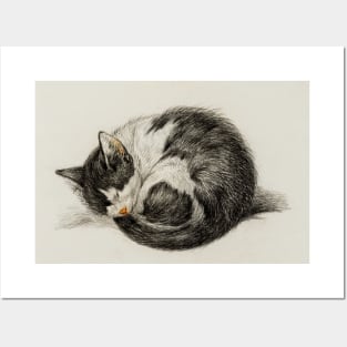 Rolled up lying sleeping cat (1825) by Jean Bernard Posters and Art